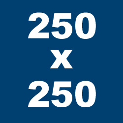 250x250